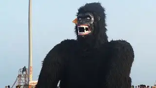 Dianosar,Gorilla Toys with Man in Beach Festival - Sagara Sambaralu at Kakinada / Villaje TV