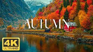 11 HOURS of 4K Enchanting Autumn Nature Scenes + Relaxing Piano Music for Stress Relief