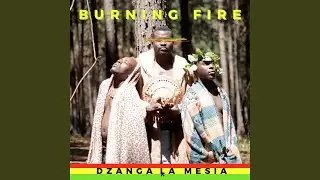Tshisiwana