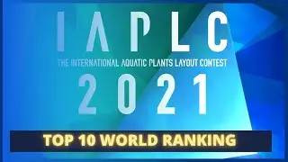 AMAZING INDONESIA !!! Aquascaping Contest- Top 10 World Ranking IAPLC 2021