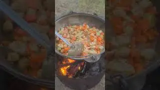 #shorts #food #camping #nature #kazakhstan