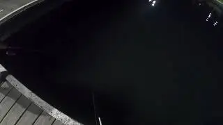 Mullet fishing at Toronto NSW