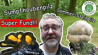 Sumpfhaubenpilz und erster Sommer Steinpilz - Seltenen Pilz gefunden und Pilzkorb verloren