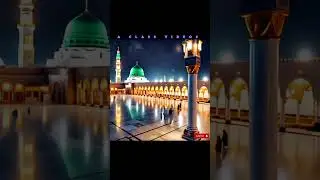 Al Quran translation  | #quranforever #quranrecitation #shorts