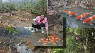 Li Tien Ca created a koi pond for $20, adding a new scenic touch to the green forest