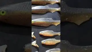 All Soft Plastic Lure Results | Slay Bait, Epic Darter, Epic Prey Bait #fishing  #bassfishing