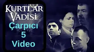 Kurtlar Vadisi'yle İlgili 5 Çarpıcı Video