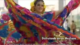VIVA MEXICO_LT_ Ricardo Valencia