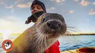 This Rescued Otter Thinks My Kayak Is Hers — And I Can’t Say No