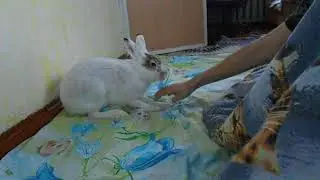 DSCN0102