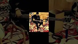 203 - Wings #bassless #nobass
