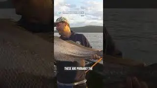 The fish of a lifetime - &lsquo;iFish&rsquo; on FishingTV