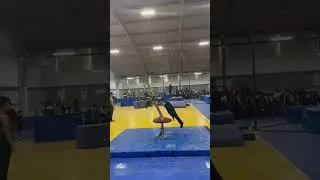 Level 4 Mushroom