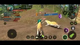 The Tiger No Cooldown Normal Server