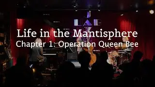 Life in the Mantisphere /// Chapter 1: Operation Queen Bee