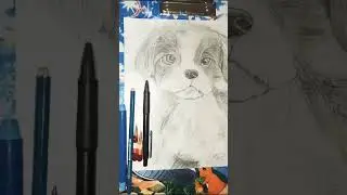 today draw a puppy pls like and subscribe and share
