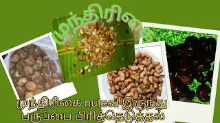 வீட்டில் இலகுவான முறையில் முந்திரிகை பருப்பு வறுத்தல் #cashewRoast #Healthysnacks #eveningsnacks 