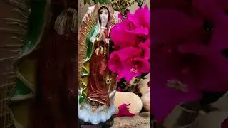 #eusousomdomonte #carmelitasmensageiros #freigilson #somdomonte #fe #mensagensdivinas #ora&ccedil;&atilde;o