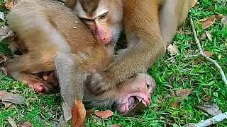 Luno has no milk riht now.!!