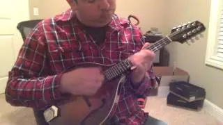 2016 Pava Player A5 Demo