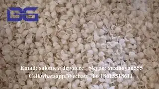 Ready to fry 2d fryums snacks pellets papad chips sea shell design fryum extrusion machinery process