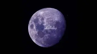 [FREE] Johnny W$RM - Lullaby | R&B Type Beat
