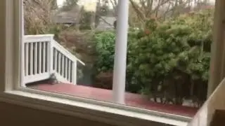 Kirkland house video