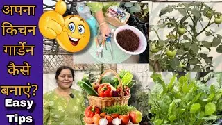 घर पर Kitchen Garden कैसे बनाएं? Complete Guide for Beginners |आसान तरीके जो कोई नहीं बताता #garden