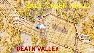 SALT CREEK TRAIL | DEATH VALLEY NATIONAL PARK