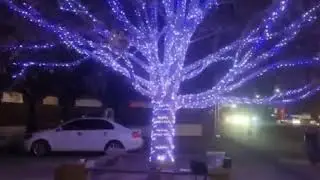 20M Fairy ledstring lights up your life colorful #fairylights #outdoorlights #outdoordecor#ledstring