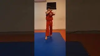 Learning Poomsae || Taeguk 2 #taekwondo #poomse #youtubeshorts #reels #viral #shortsfeed #youtube