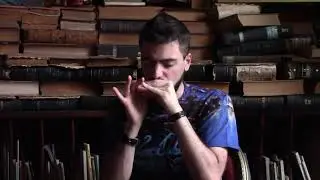 MARTIN CHEMES | Little Wing (Jimi Hendrix) | Harmonica Cover
