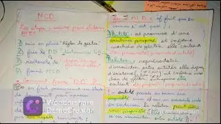 MCD SI (2 informatique lmd)