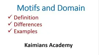 Motifs and Domains| 3D Structure of Proteins| Proteins