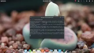 How to install Java (Linux)