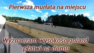 Czy na domu też była zła wysokość płatwi??? Pierwsza murłata zamontowana