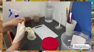 TISSU CULTURE OF AUXILLARY BUD DIY