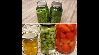 OUR LAST HARVEST- small garden |PICKLE RECIPE- EASY| PANEN TERAKHIR KAMI| RESEP ASINAN- MUDAH|
