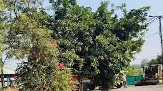Abhi rider blog #prayagraj 