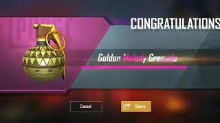 Golden Melody Grenade Crate Opening PUBG
