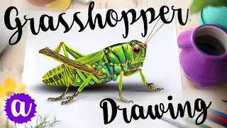 How to Draw a Grasshopper | Step-by-Step Tutorial
