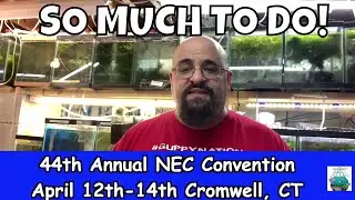 I STILL HAVE SO MUCH TO DO FOR NEC! Local Fish Club Convention!