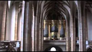 Silbermann Organ in Freiberg