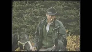 Coming Home - The Wardens