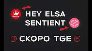 HEYELSA СКОРО ТГЕ? SENTIENT ЧЕКЕР НА ДНЯХ? НОВЫЕ ОБНОВЛЕНИЯ ПО ПРОЕКТАМ!