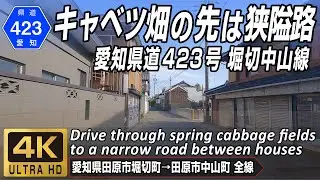 愛知県道423号 堀切中山線 | キャベツ畑の先は民家に挟まれた狭隘路 | 愛知県田原市堀切町 → 田原市中山町 全線約8.2km | 4K 60FPS