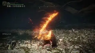 Elden Ring - Malenia / Omen Cleaver / Flaming Strike / No Damage / Level 1 / Patch 1.07.1
