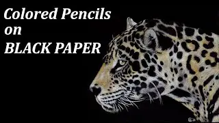Animal portrait with PRISMACOLOR PREMIER Colored pencils on BLACK PAPER // Jaguar drawing demo