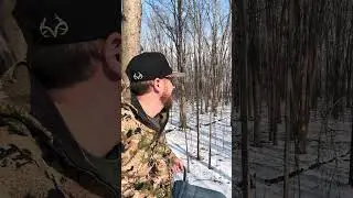 охотничья собственность #hunting #fypシ #blowup #hunter #gsp