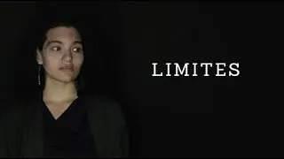 VIDEOARTE - LIMITES
